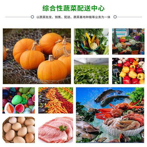 企業管理新標桿 朱村飯堂生鮮食材供應商的承包模式